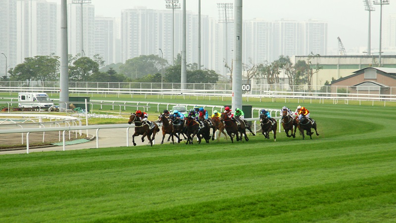 香港188賽馬|188賽馬競爭示意圖 香港188賽馬|188賽馬競爭示意圖