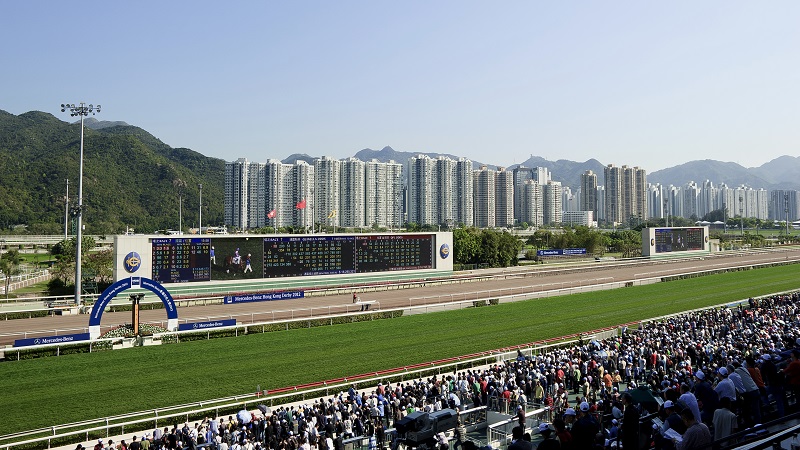 香港188賽馬|觀眾在看台上 香港188賽馬|觀眾在看台上