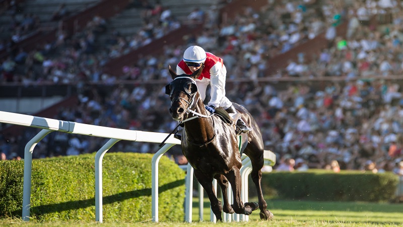 香港KU賽馬|KU賽馬選手衝刺