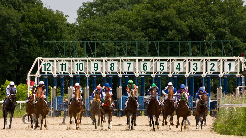 188賽馬排位|起跑點衝刺 188賽馬排位|起跑點衝刺