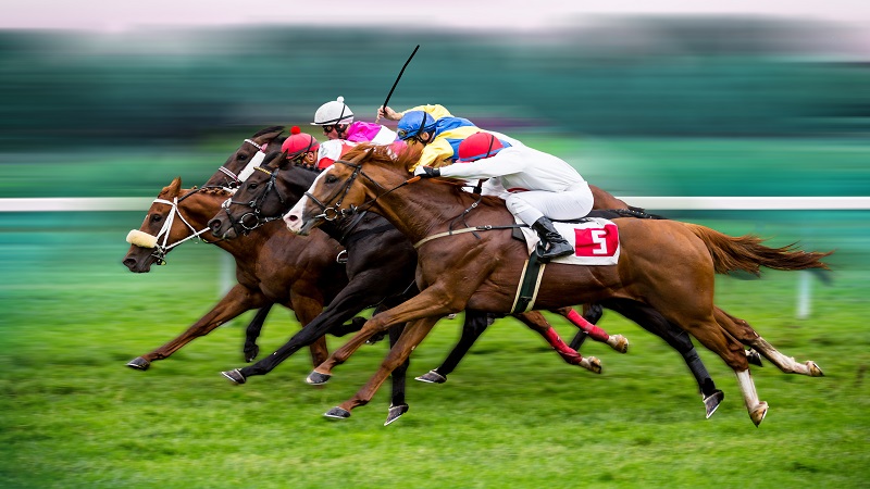 188賽馬排位|騎師衝刺中 188賽馬排位|騎師衝刺中